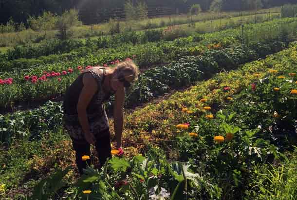 Evalisa McIllfaterick of Root Cellar Gardens uses traditional, organic and ecologically-minded practices in her everyday farming. With her goal of having items available all year round, McIllfaterick knows a thing or two about growing fresh, local produce. You can find Root Cellar Gardens at the Thunder Bay Country Market (Wednesdays and Saturdays) and the Thunder Bay Regional Health Sciences Centre Fresh Market (Wednesdays).