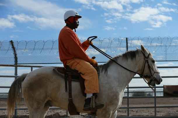 An inmate rides a wild horse as part of the Wild Horse Inmate Program (WHIP) at Florence State Prison in Florence, Arizona, U.S., December 2, 2016. REUTERS/Mike Blake 