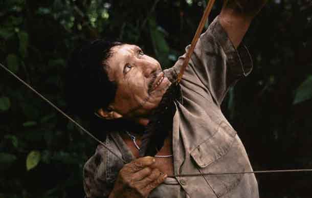 The Matsés have lived by hunting and gathering in the Amazon Uncontacted Frontier for generations. © Christopher Pillitz