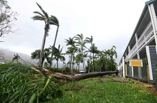 A tree lies on the ground near a motel after falling during strong winds from Cyclone Debbie at Airlie Beach. AAP/Dan Peled/via REUTERS
