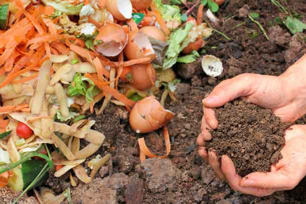 Reduce your household waste and try composting! Join Erin Beagle from Roots to Harvest on Wednesday, April 27 from 7:00-8:00 pm to learn how to create, store, and maintain compost to improve soil and plant production. The session is free, open to the public and will be held in ICP-Main (Room 2178) at Thunder Bay Regional Health Sciences Centre. Reserve your spot, by calling (807) 684-7237.