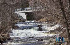 McVicars-Creek-Spring-2017