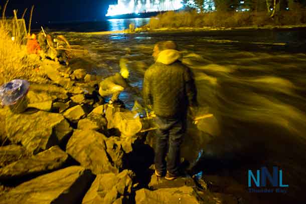 Swinging the net into the Current River hoping for a gathering of smelts these fishers were having fun