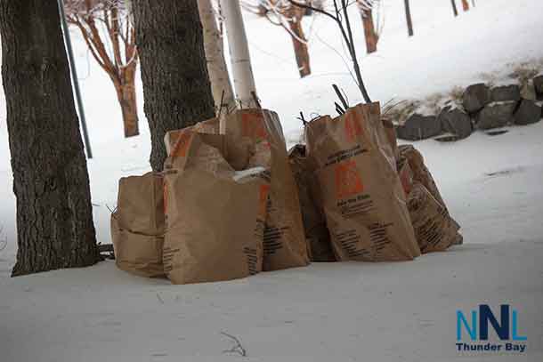 Spring Leaf and Yard Waste