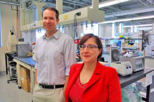 Dr. Simon Lees and Health Research Institute scientist Dr. Laura Curiel in the NOSM lab at Lakehead University. A multi-institution research collaboration in Thunder Bay is looking at new ways of boosting cancer treatment effectiveness