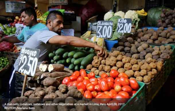 Large amounts of food are wasted every year. 