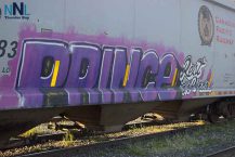Prince-RIP