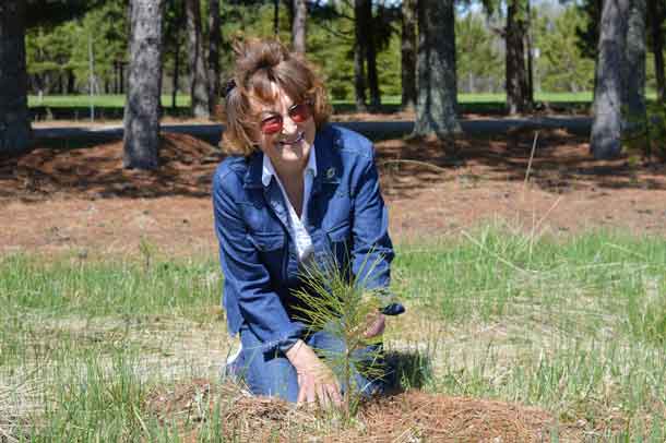 Wanda Mitchell planted 15,000 trees on her Dryden property. (IMAGE - Forests Ontario)