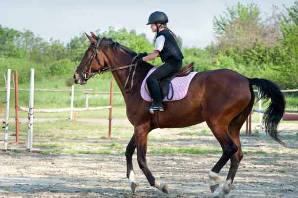 Young girl riding a horse - Image - Depositphotos.com