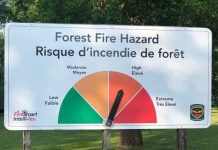 Northwest Fire Region Update: Four New Fires Confirmed, Two Not Under Control The Forest Fire Hazard heading into the weekend is high in Northern Ontario