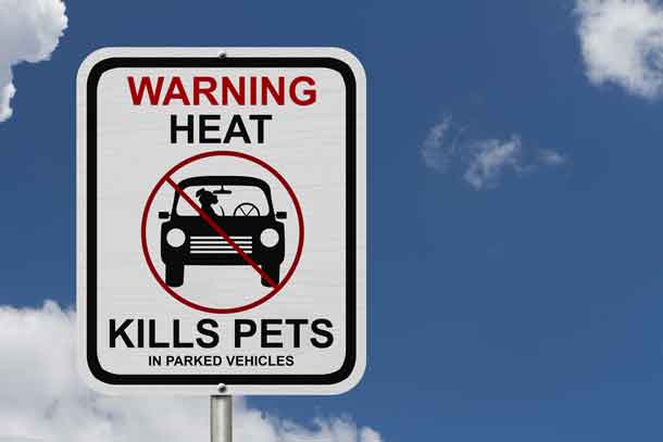 Dangers of leaving a dog in parked cars, A white road sign with the message of the danger with blue sky Image depositphoos.com