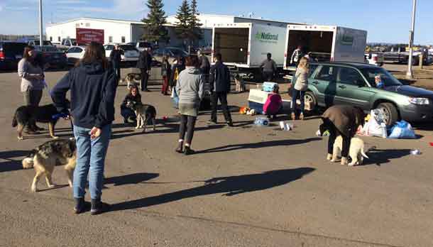 Northern dogs getting some exercise, care and water in Thunder Bay