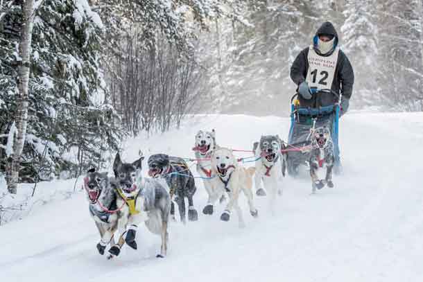 Gunflint Mail Run starts off dogsledding season