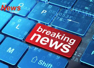 Significant Police Presence on Harold Street Breaking News 800