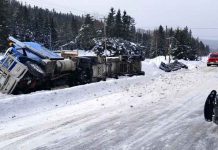 OPP Report Fatal Collision on Highway 102 Image OPP