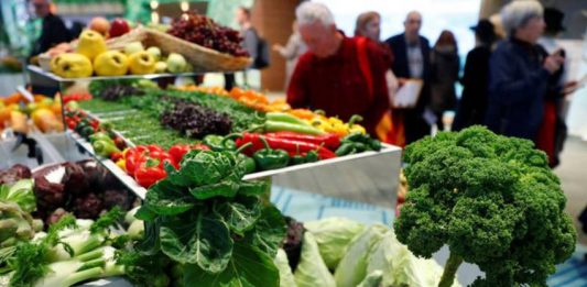 Thunder Bay Grocery Deals This Week: Best Buys for June 11 at FreshCo, Safeway, Walmart, Giant Tiger, Metro and Superior Seasons Vegetables are pictured at the opening day of the International Green Week (Internationale Gruene Woche) agriculture and food fair in Berlin, Germany, January 18, 2019. REUTERS/Fabrizio Bensch