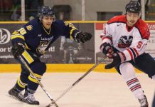 Thunderwolves Clawed by Brock Badgers in Hockey Action The Thunderwolves fell to the Brock Badgers at Fort William Gardens today