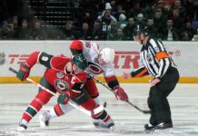 Cree NHL broadcast puts spotlight on language survival