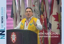 Coordinated and Immediate Action Required to End Violence Against Indigenous Women and Girls and those at Risk: AFN National Chief AFN National Chief Perry Bellegarde