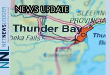 Thunder Bay Man Convicted of Animal Cruelty Image: depositphotos.com