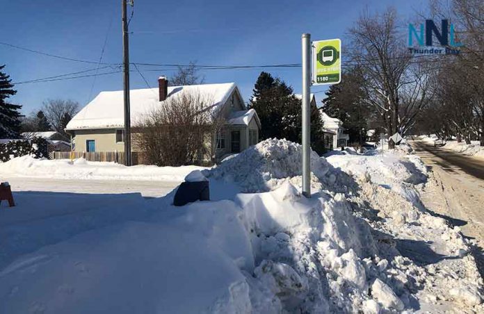 Trash Can at Thunder Bay Transit Stop buried in snow