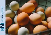 Rise Dine and Shine: Revamp Your Morning Meal basket of eggs