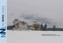 Isle Royale Wolf Population Update Photo courtesy of National Parks of Lake Superior Foundation