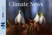 Climate-news-flowers-bloom-spark