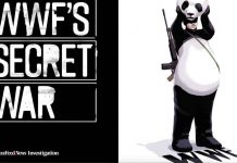 Buzzfeed report exposes abuses on global scale by WWF-funded guards WWF Secret War