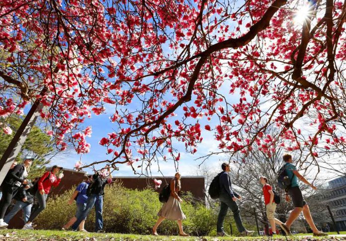 New research shows walking around and offering kindness to others can lower anxiety and increase happiness. CREDIT - Christopher Gannon, Iowa State University News Service