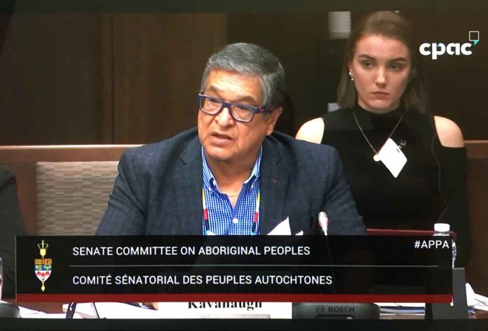 Grand Council Treaty #3 Grand Chief Kavanaugh speaking to Senate Committee