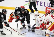 Thunder Bay Kings Tie Halifax Macs in TELUS Cup Action Kings Mackenzie Sedgwick is credited with the game tying goal, as Trenton Morriseau and others watch the puck pass over the shoulder of Jacob Goobie and into the Macs net at 12:42 of the 2nd period.