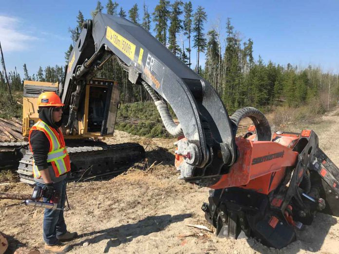 First Nations Trainees Impress Tigercat Reps in Ogoki Forest