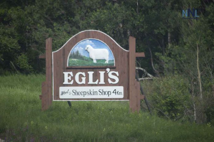 Egli's Sheep Farm near Dryden Ontario