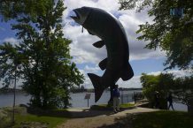 Kenora-Huskie-the-Muskie