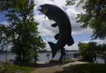 June 11, 2025: Kenora and Lake of the Woods Region Weather Forecast Huskie the Muskie in Kenora Ontario