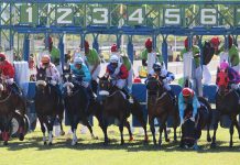 Top Contenders For 2019 Breeder’s Cup Racing Tournament Horse racing