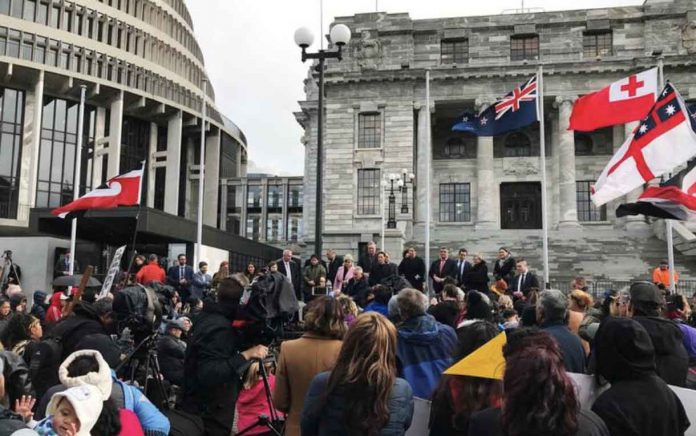 Ministers address hundreds of Maori protesters gathered to demonstrate against what protesters say is the disproportionate number of Maori children taken by social service agencies from their families, outside parliament in Wellington, New Zealand, July 30, 2019. REUTERS/Praveen Menon