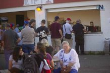border-cats-tasty-snacks-aug-10