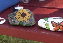 An Explosion of Interest in Monarch Butterflies – Dan Fulton Urban Greenscapes