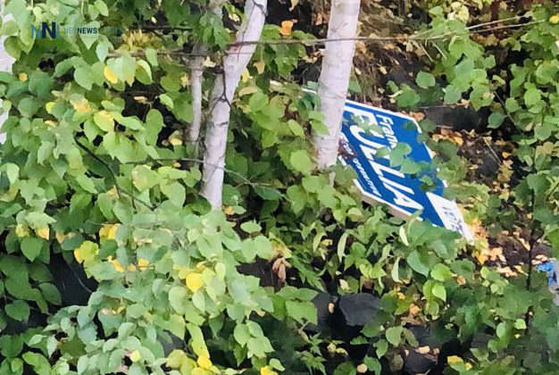 Election sign for Conservative Candidate Frank Pullia was taken down along Cumberland Street North and appears to have been thrown on the creek bank of McVicar's Creek ©2019 NetNewsLedger.com