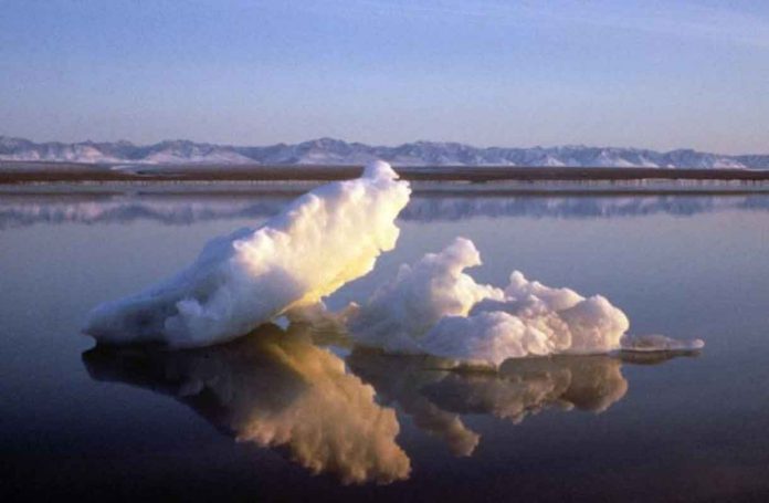 FILE PHOTO: Sea ice floats within the 1002 Area of the Arctic National Wildlife Refuge in this undated handout photo provided by the U.S. Fish and Wildlife Service Alaska Image Library. REUTERS/HANDOUT/U.S. Fish and Wildlife Service Alaska Image Library/File Photo