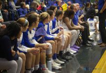 Thunderwolves down Toronto Varsity Blues 69-50 Lakehead Thunderwolves Women's Basketball