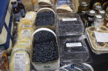 Terrace-Bay-Fall-Market-Blueberries