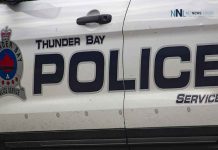 Thunder Bay Police Investigating Instances of Animal Cruelty Charges laid following fight at Landmark Inn