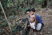 Yanomami Health Emergency: a Genocide Foretold Vinicius Dos Santos, who is threatened by loggers and stockbreeders, shows his son an acai palm tree at the Virola-Jatoba Sustainable Development Project (PDS) in Anapu, Para state, Brazil, September 5, 2019. REUTERS/Nacho Doce