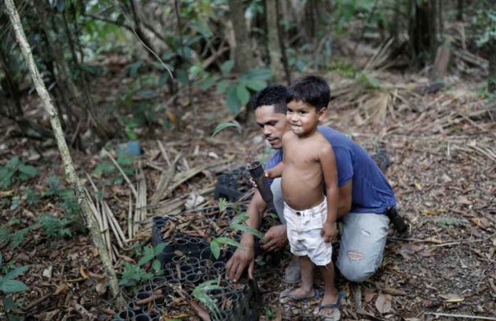 Vinicius Dos Santos, who is threatened by loggers and stockbreeders, shows his son an acai palm tree at the Virola-Jatoba Sustainable Development Project (PDS) in Anapu, Para state, Brazil, September 5, 2019. REUTERS/Nacho Doce