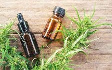 cannabidiol (cbd) extract in a bottle
