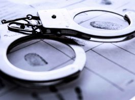 Quebec Man Charged in Thunder Bay Grandparent Scam Investigation Police have made an arrest