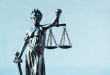 Roles of Professional Criminal Lawyer Roles of Professional Criminal Lawyer